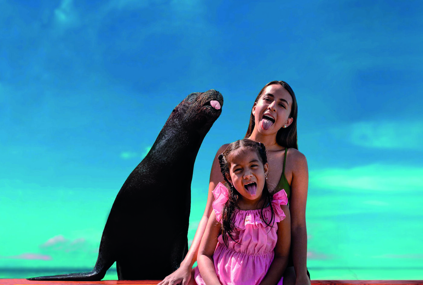 Sea Lion Interaction - View 1