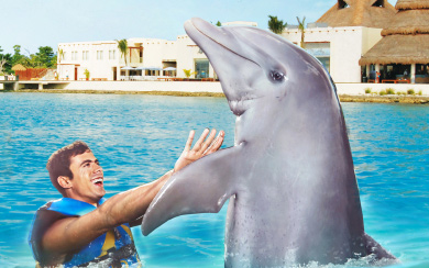 Dolphin Royal Swim in Cozumel - View 1
