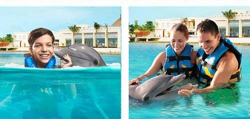 Dolphin Swim Adventure in Cozumel - View 1