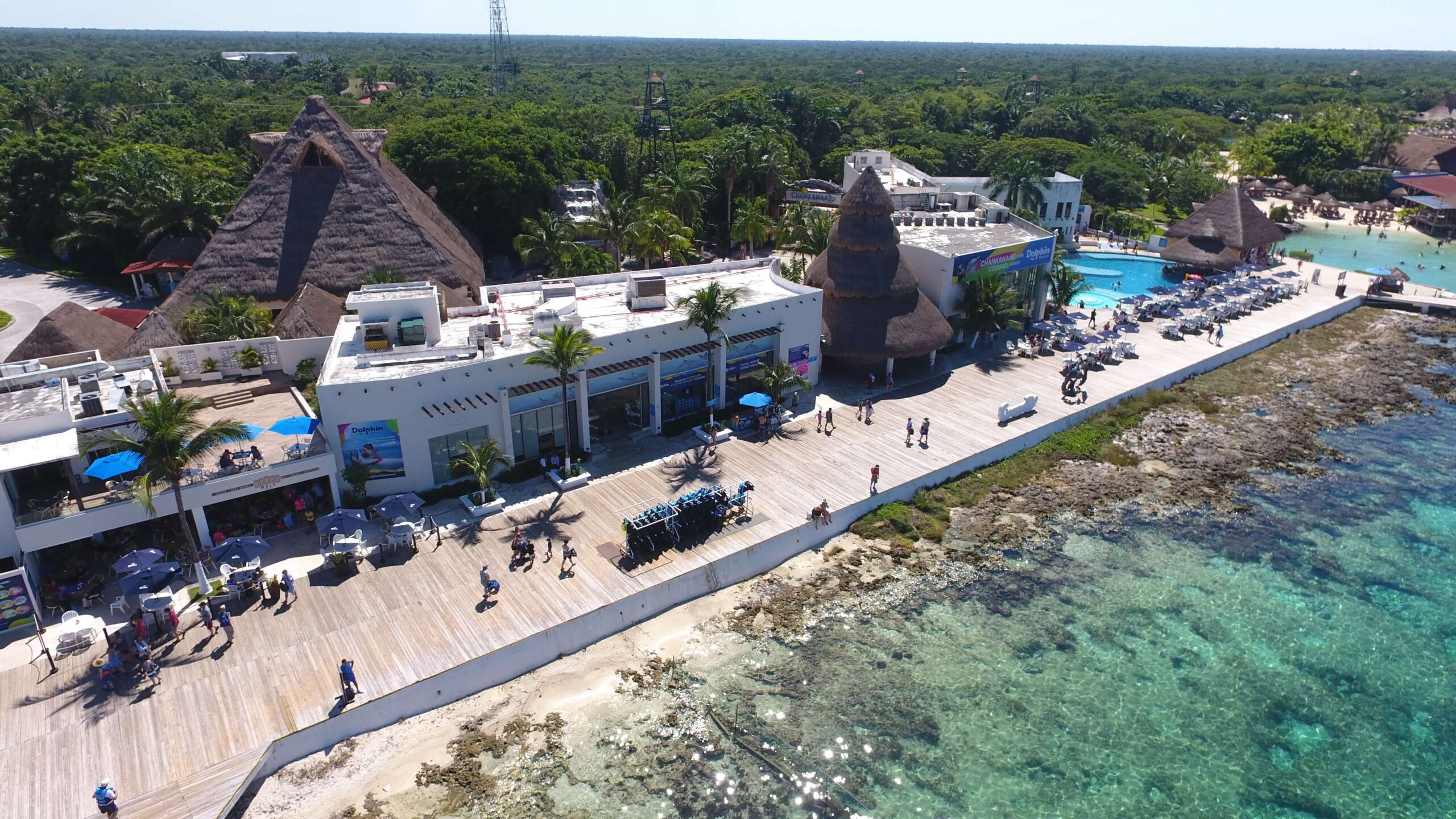 Chankanaab Pass + Lunch Buffet and Drinks + Snorkel Adventure + Sea Lion - View 1